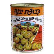 Kosher Kvuzat yavne cracked olives with olive oil spicy 19 oz
