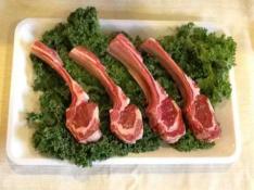 BABY LAMB CHOPS