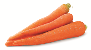 Kosher Cello Carrots 16 oz