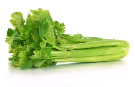 Kosher Celery Stalk