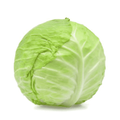 Kosher Green Cabbage LB.