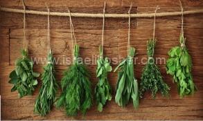 Fresh Herbs & Greens