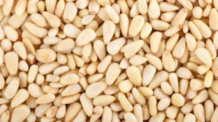 Kosher Setton Chinese pinenuts 16 oz