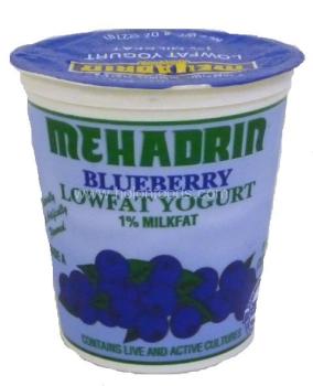 Kosher Mehadrin Blueberry Lowfat Yogurt 1% Milk fat 8 oz