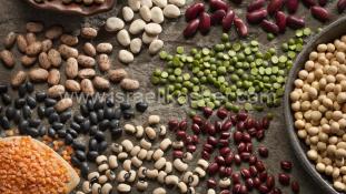 Pulses for Passover