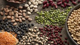 Pulses for Passover
