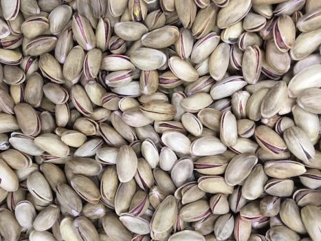 Turkish Pistachio
