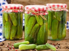 Kosher Pickles