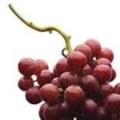 Kosher Seedless Red Grapes LB.