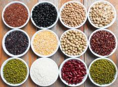 Dry Beans & Pulses
