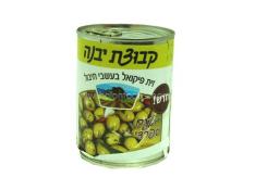 Kosher Kvuzat yavne picual olives with herbs 19 oz