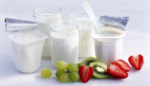 Yogurts For Passover